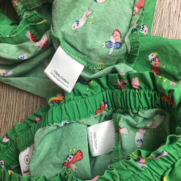 Hanna Andersson Green Birds top and shorts Size 90 3T - Picture 6 of 6